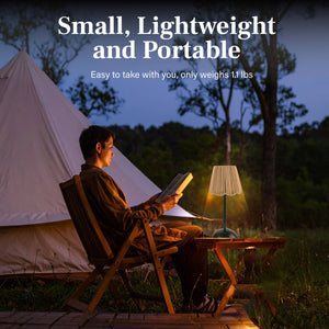 Solar Powered Rechargeable Table Lamp with 3 Light Modes
