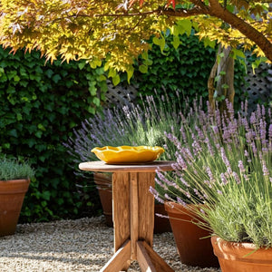 Decorative Bird Bath - Yellow Ceramic Scalloped Edge, 11 in.