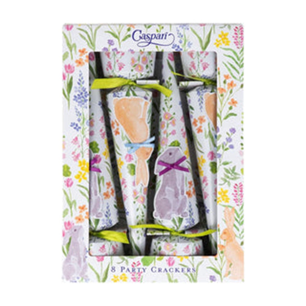 Bunny Field Party Cone Cracker