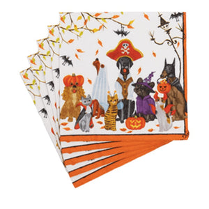 Halloween Pets Recycled Napkin Cocktail
