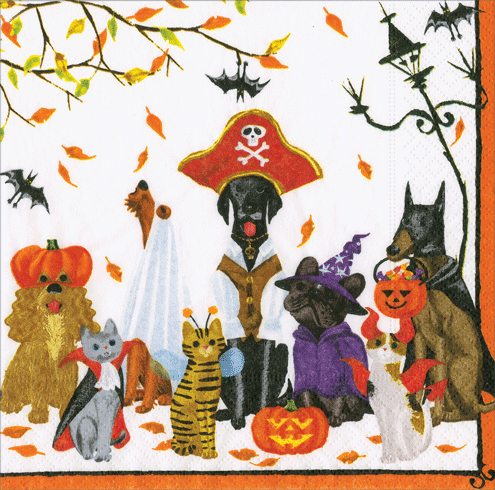 Halloween Pets Recycled Napkin Cocktail
