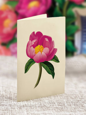 Peony Paradise Pop-up Greeting Cards