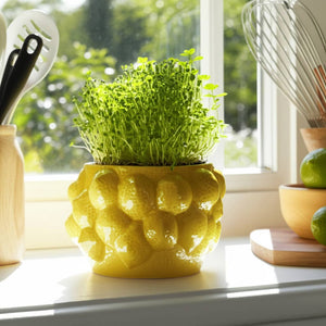 Planter Pot - Yellow Ceramic Solid Lemons Flower, 7 in.