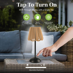 Solar Powered Rechargeable Table Lamp with 3 Light Modes