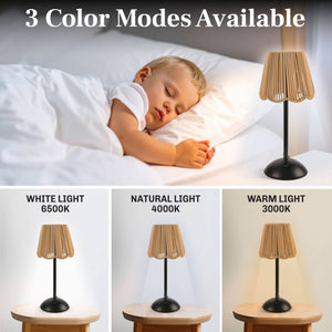 Solar Powered Rechargeable Table Lamp with 3 Light Modes