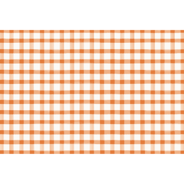 Orange Painted Check Placemat