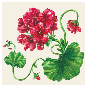 Geranium Cocktail Napkins